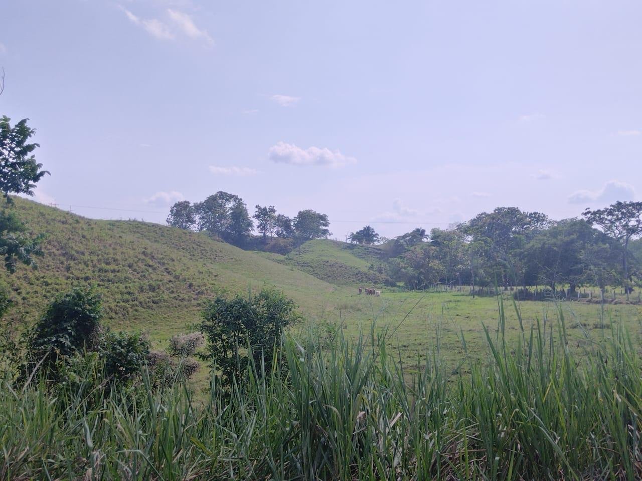 Programa de Emprendimiento Solidario